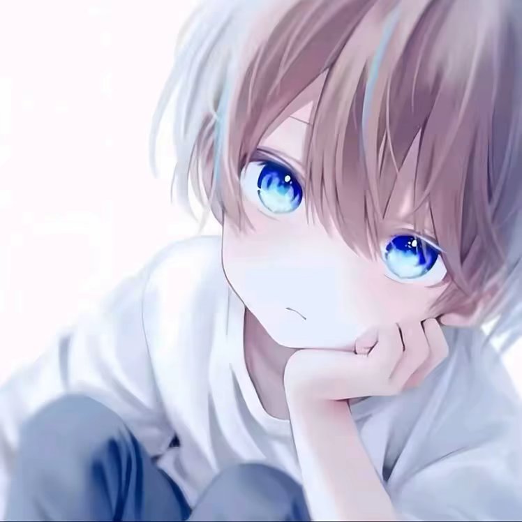 snow凌冬