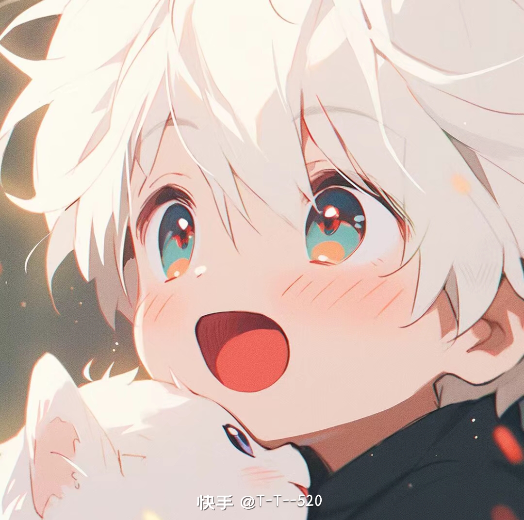snow鹤忧