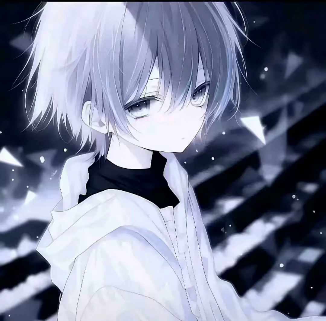 snow伤然